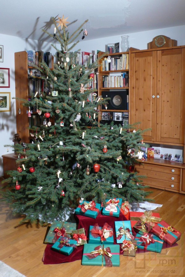 Unser Weihnachtsbaum 2012
